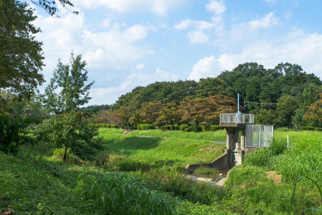 ワンコと散歩するはけの道のくじら山の奥