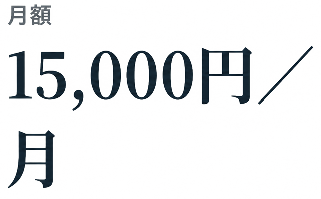 月額 15,000円／月